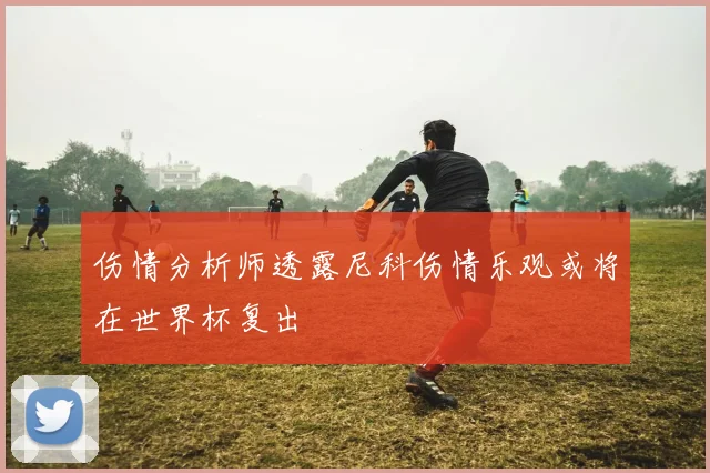 伤情分析师透露尼科伤情乐观或将在世界杯复出
