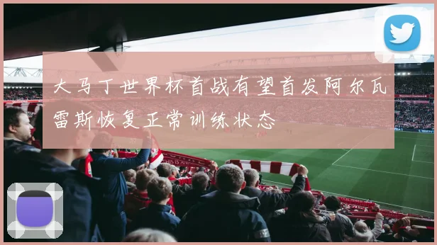 大马丁世界杯首战有望首发阿尔瓦雷斯恢复正常训练状态