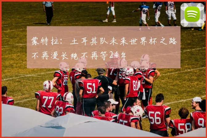 蒙特拉：土耳其队未来世界杯之路不再漫长绝不再等24年